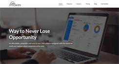 Desktop Screenshot of acusales.com